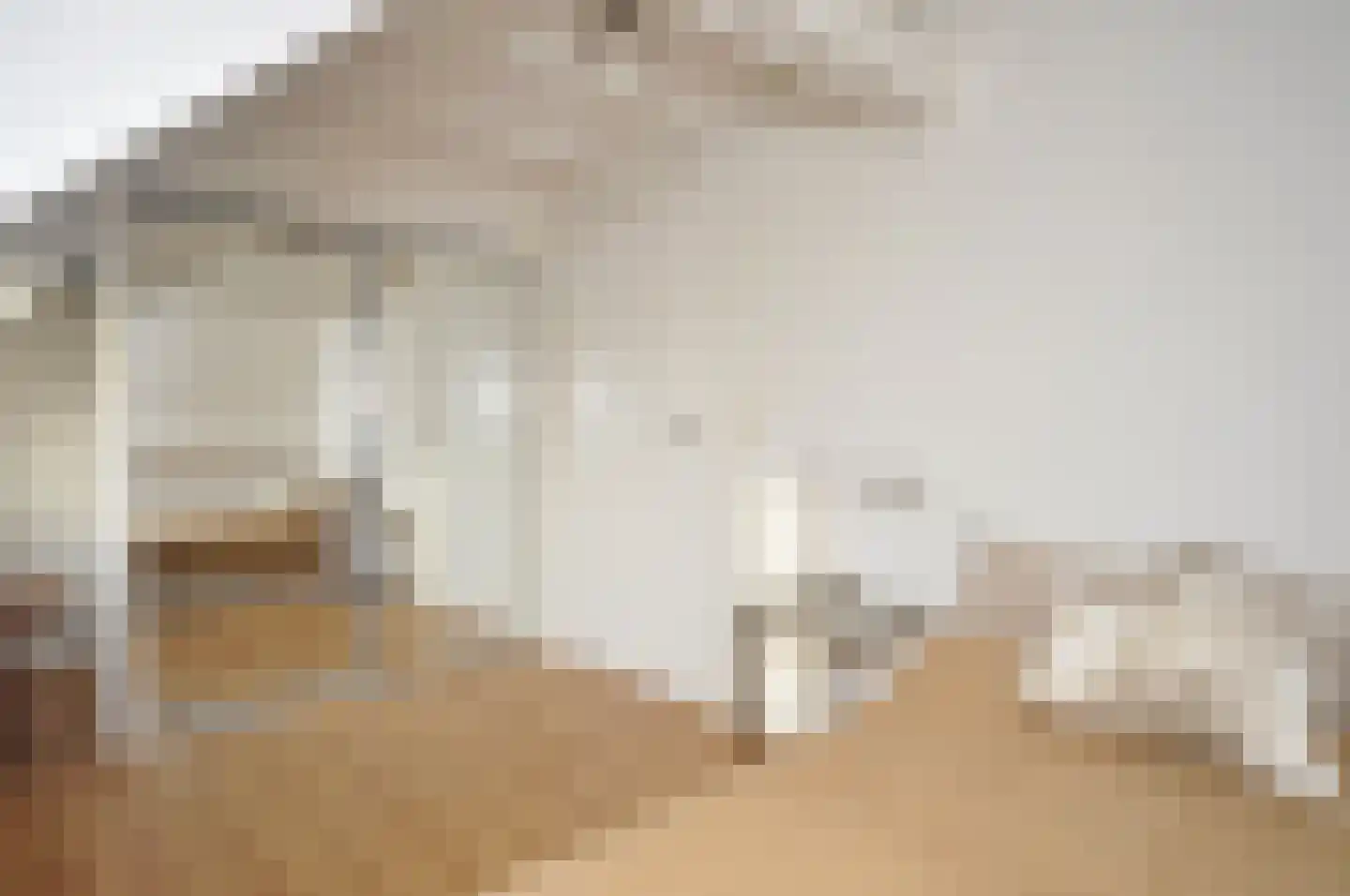 't Paadje 28 Laren thumbnail 23