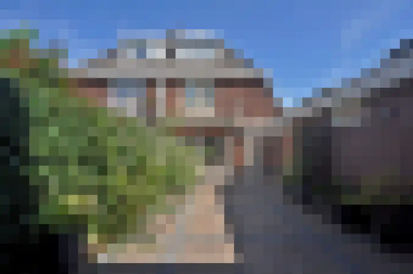 't Paadje 28 Laren thumbnail 24