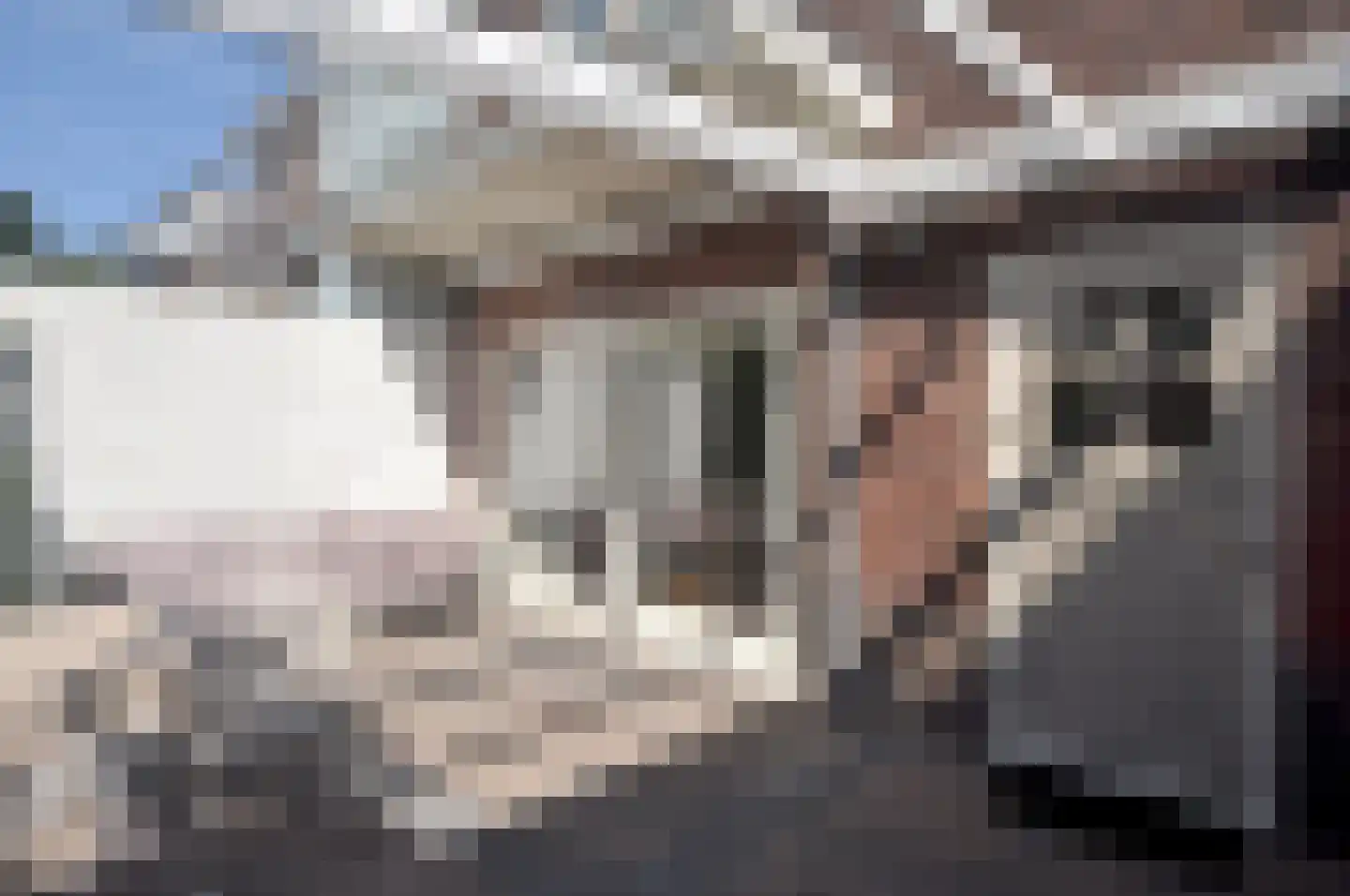 't Paadje 28 Laren thumbnail 26