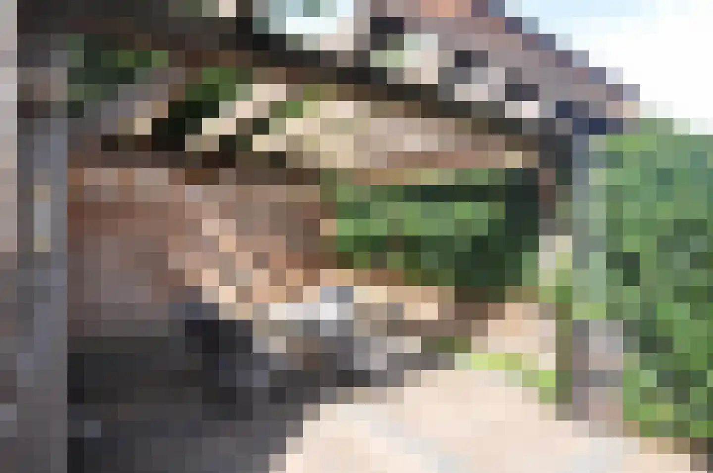 't Paadje 28 Laren thumbnail 29