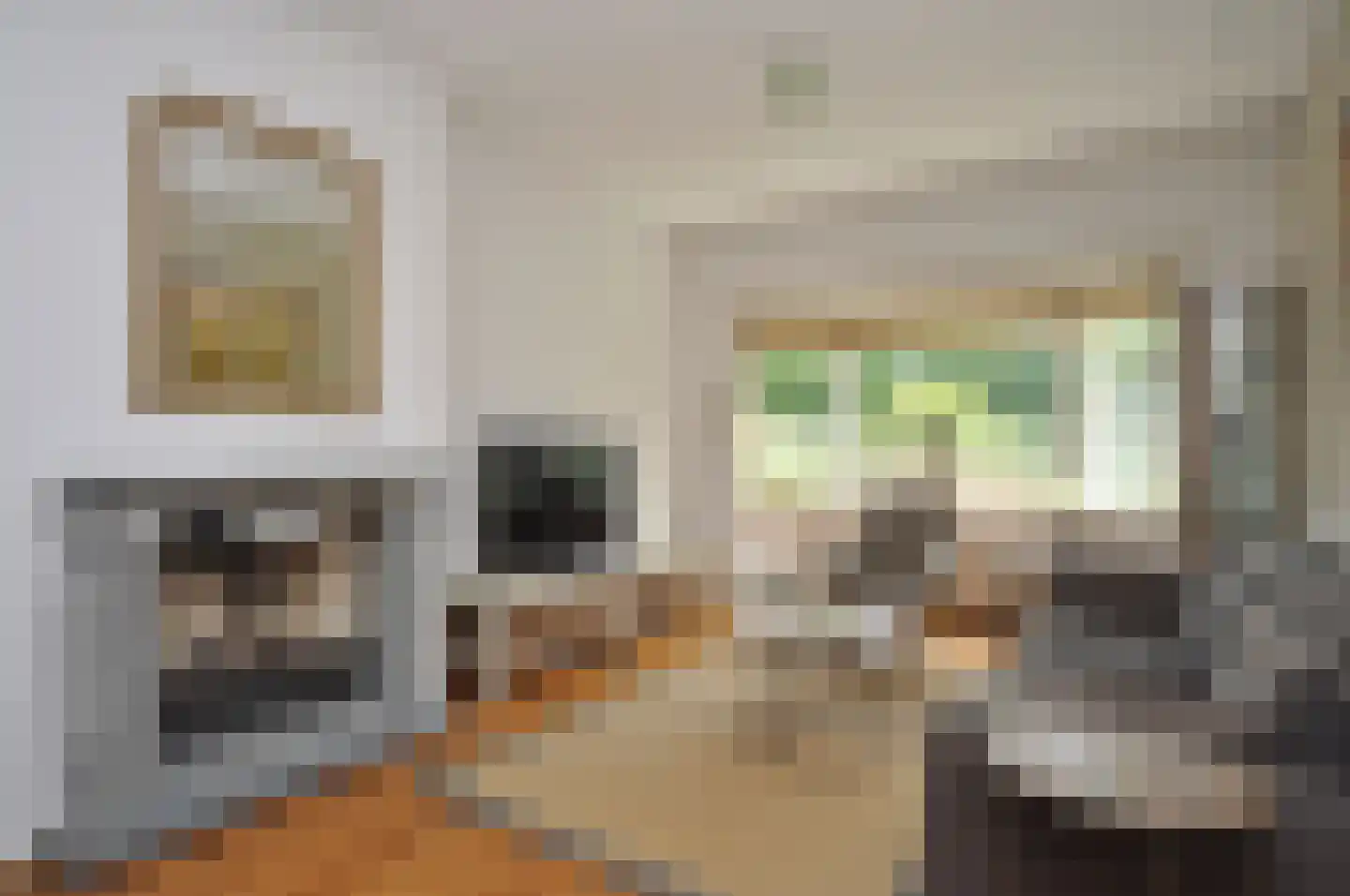 't Paadje 28 Laren thumbnail 5