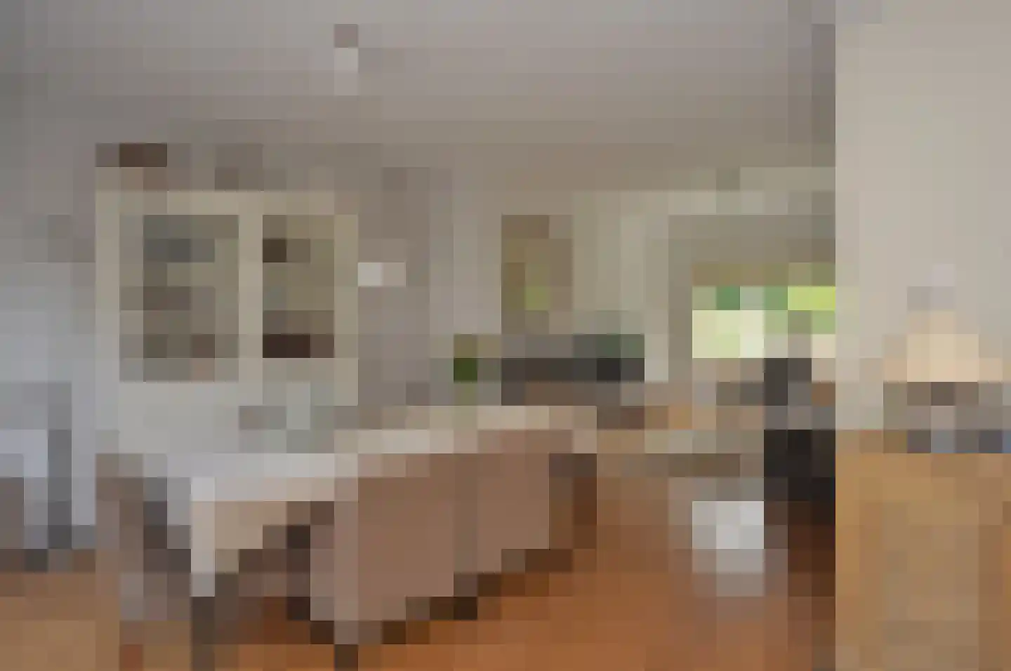 't Paadje 28 Laren thumbnail 8