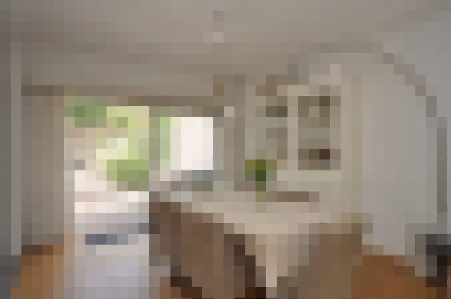 't Paadje 28 Laren thumbnail 9