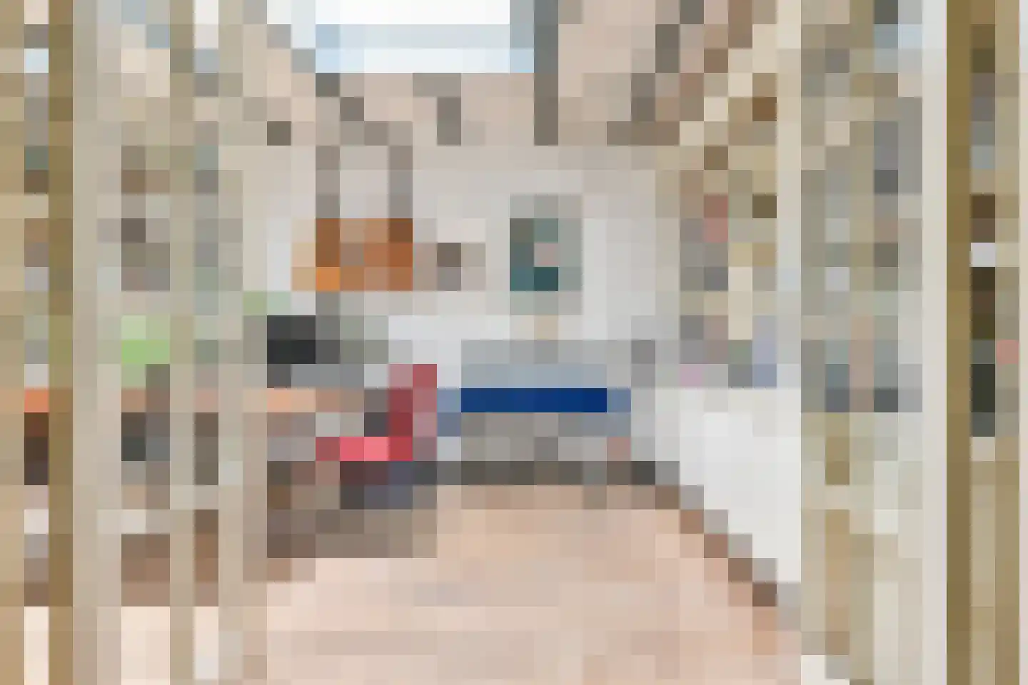 't Paadje 3 Laren thumbnail 10