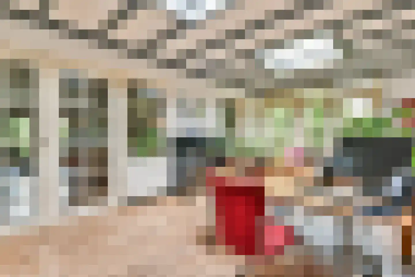 't Paadje 3 Laren thumbnail 12