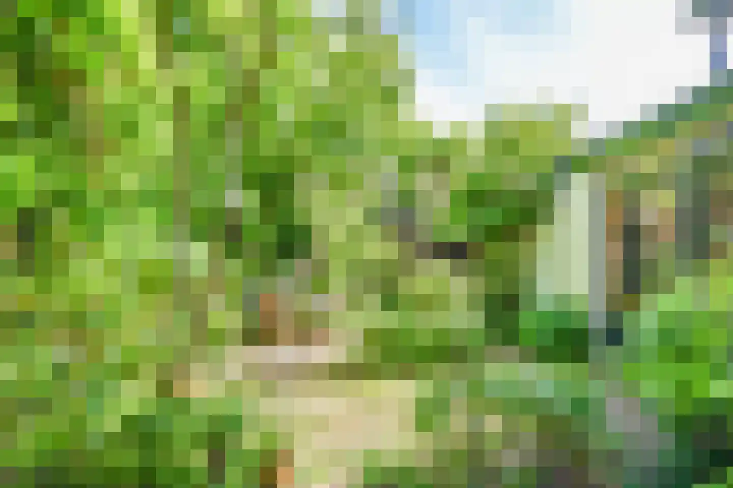 't Paadje 3 Laren thumbnail 15