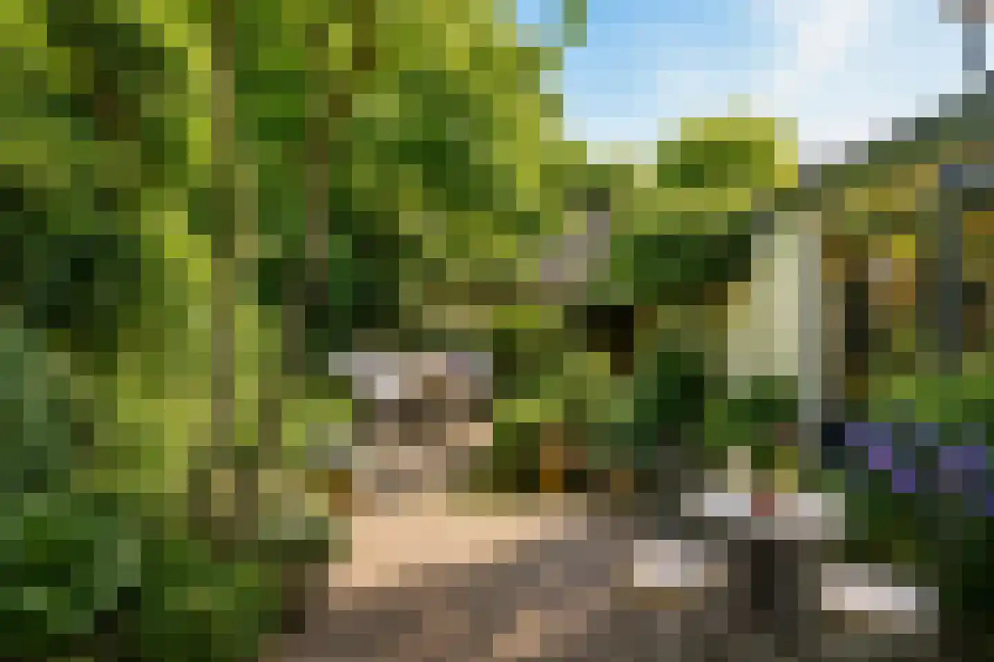 't Paadje 3 Laren thumbnail 16