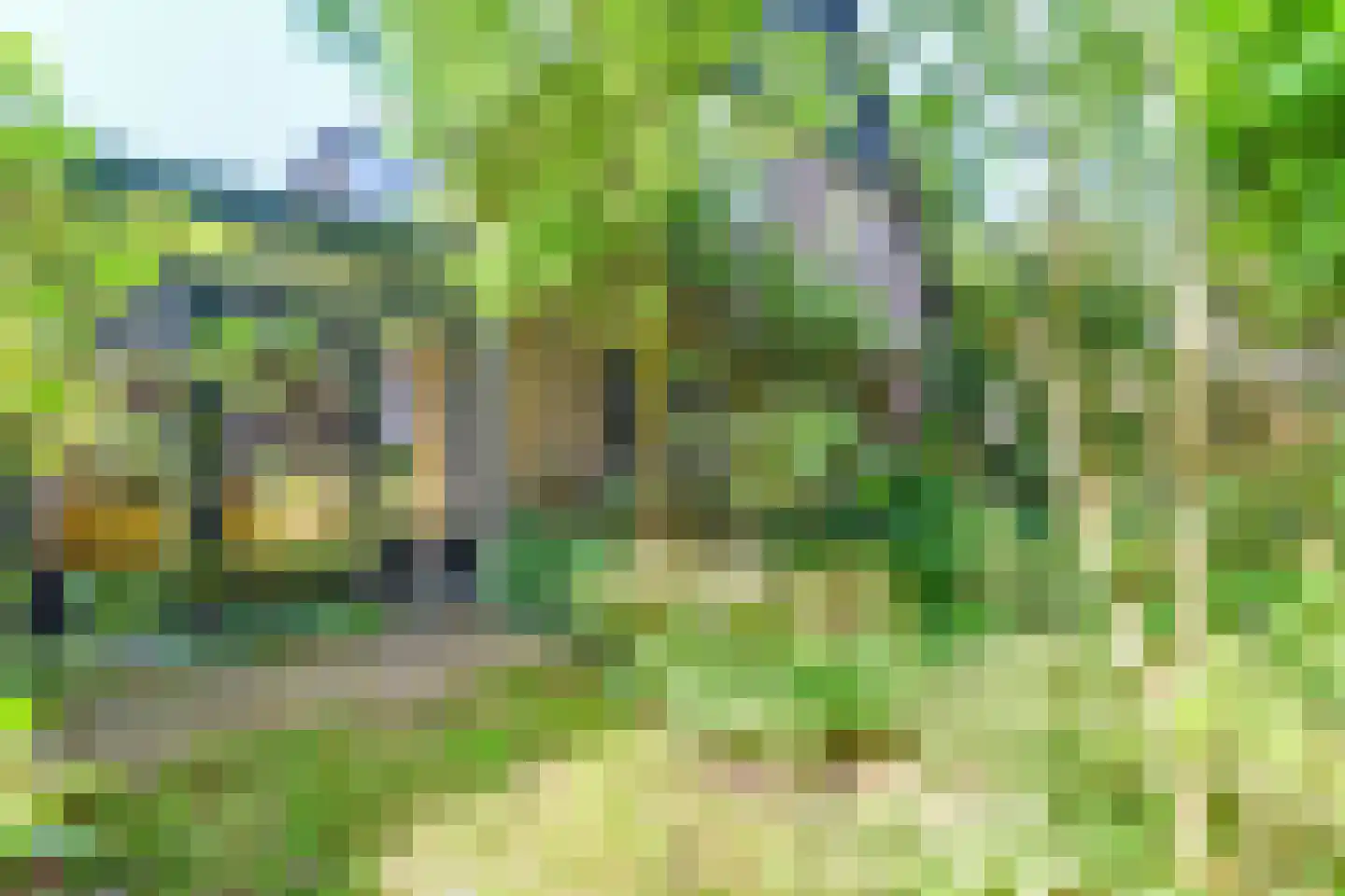 't Paadje 3 Laren thumbnail 16