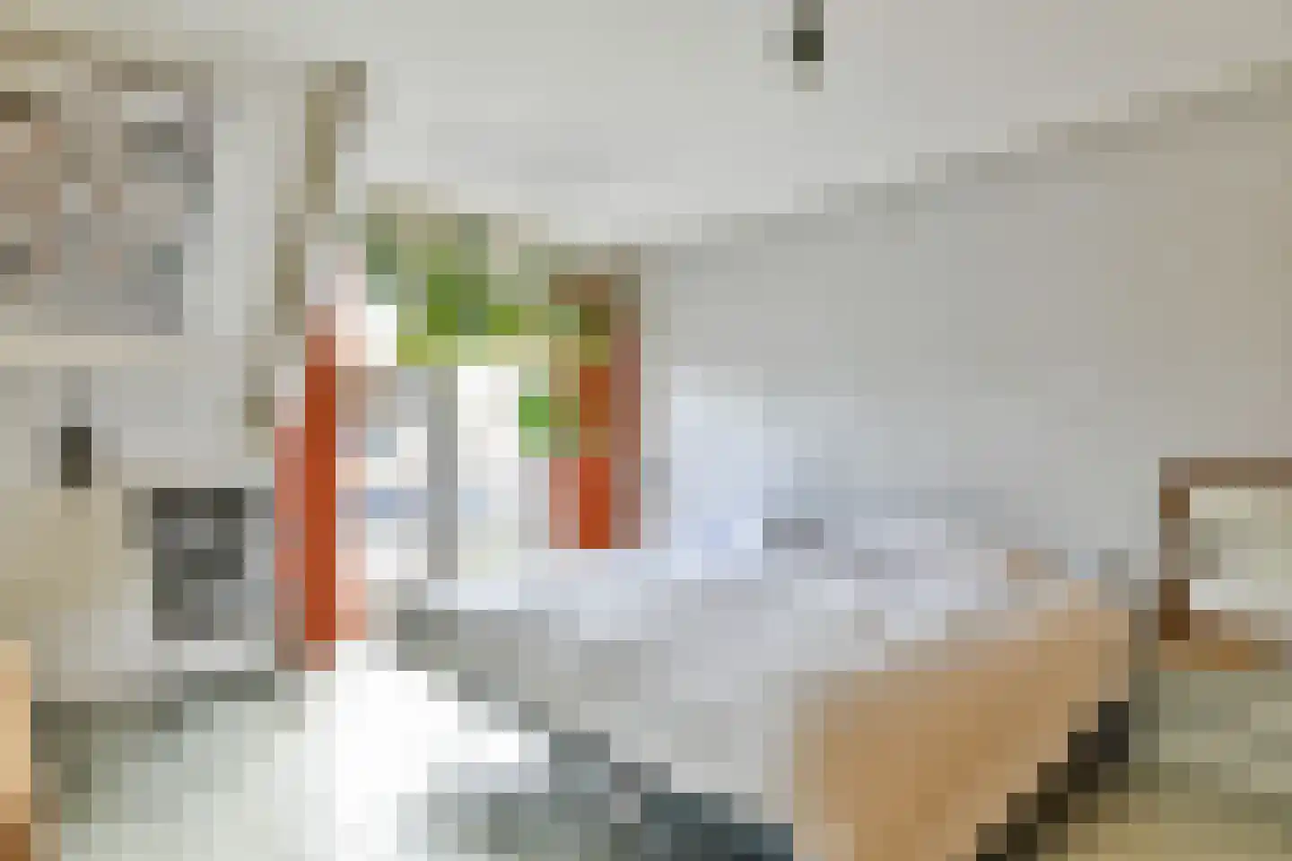 't Paadje 3 Laren thumbnail 21