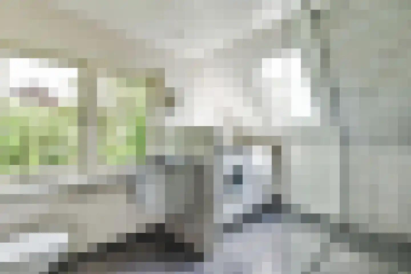 't Paadje 3 Laren thumbnail 24