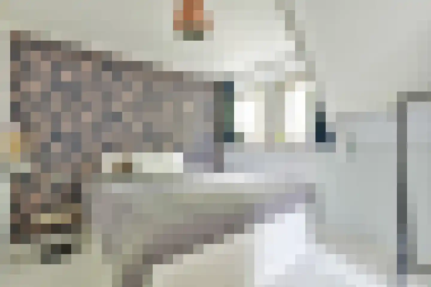 't Paadje 3 Laren thumbnail 25