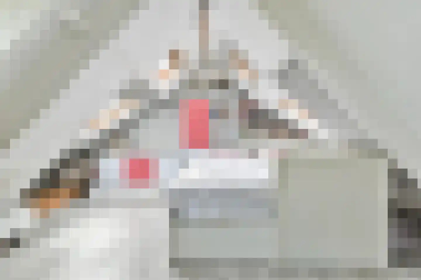 't Paadje 3 Laren thumbnail 28