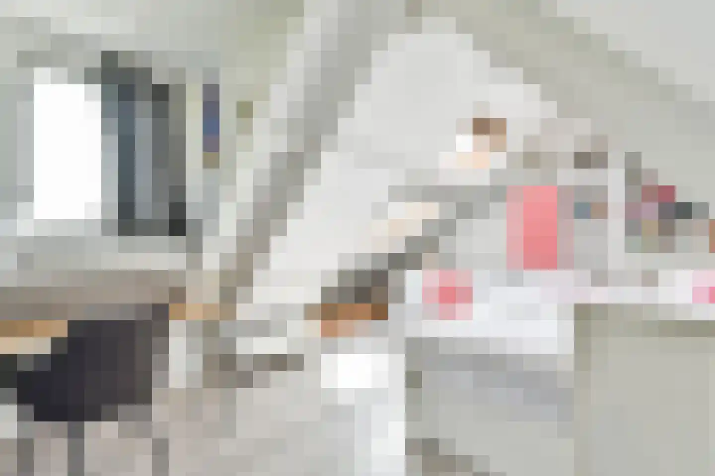 't Paadje 3 Laren thumbnail 29