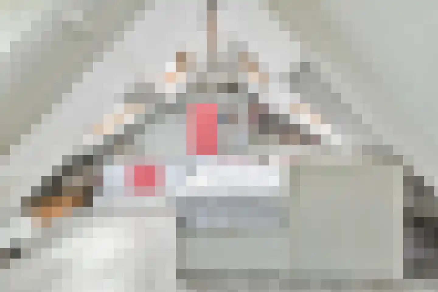 't Paadje 3 Laren thumbnail 29