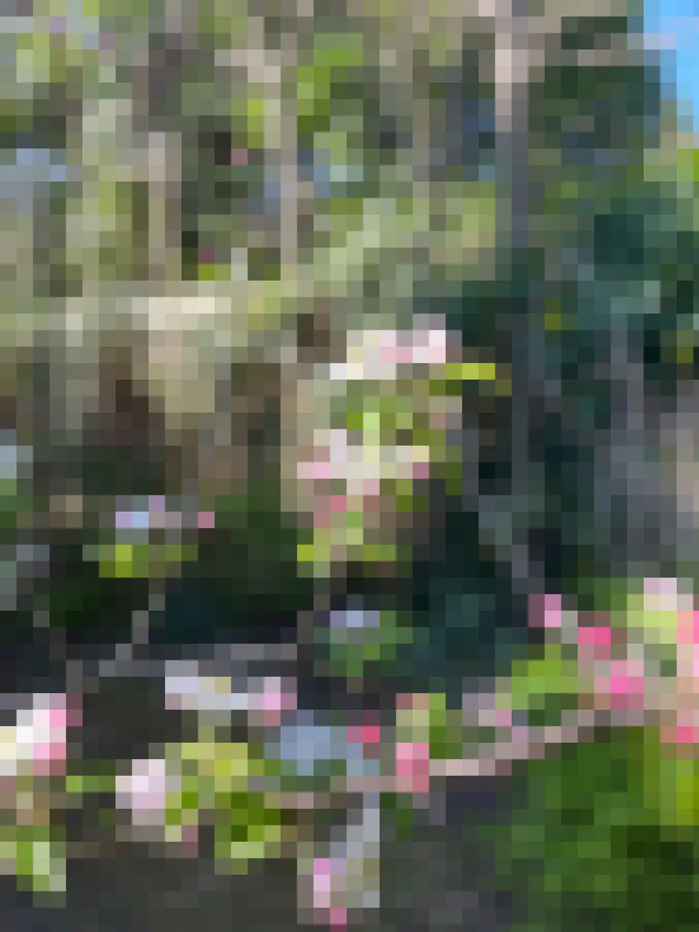 't Paadje 3 Laren thumbnail 31