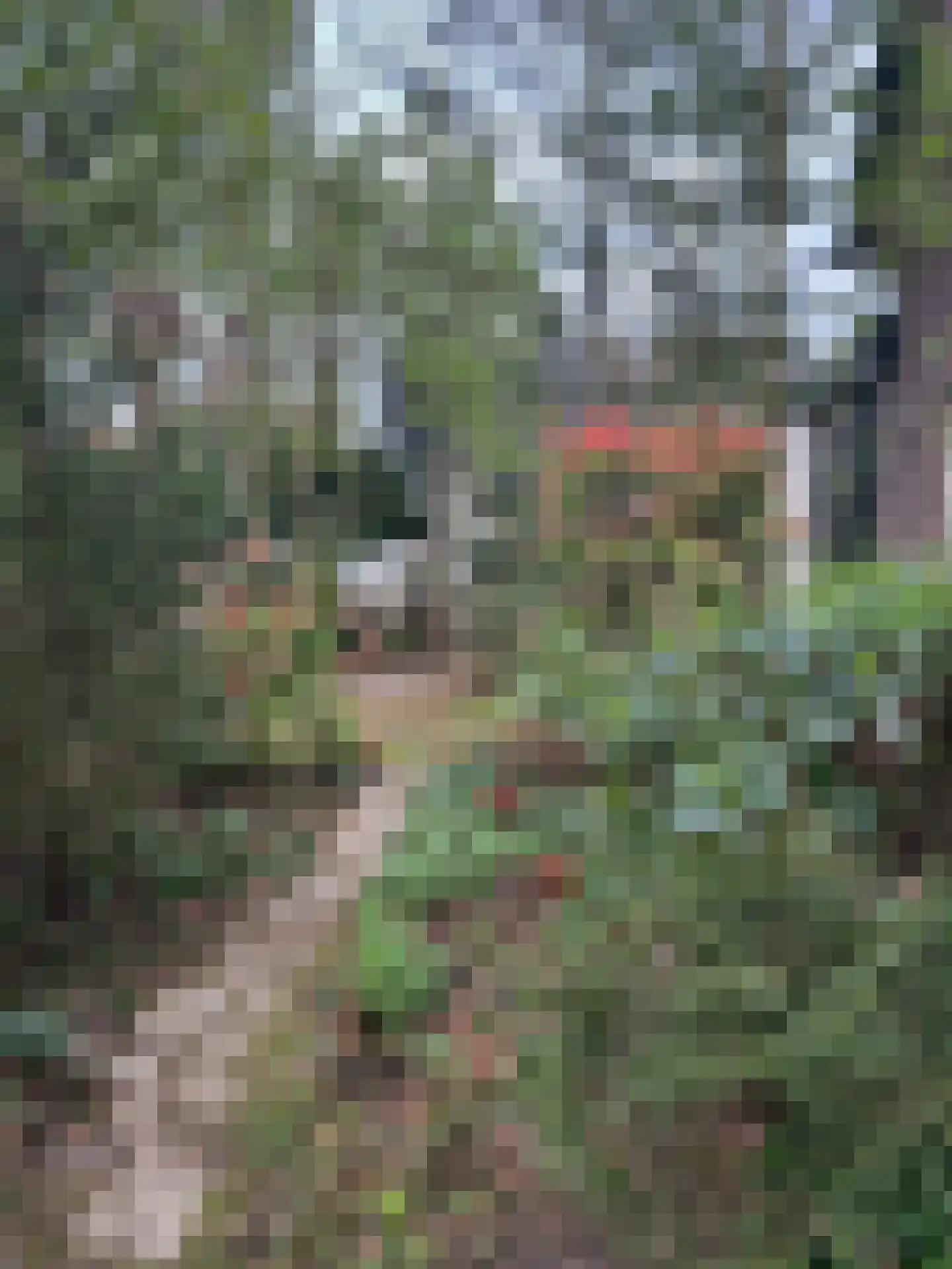 't Paadje 3 Laren thumbnail 33