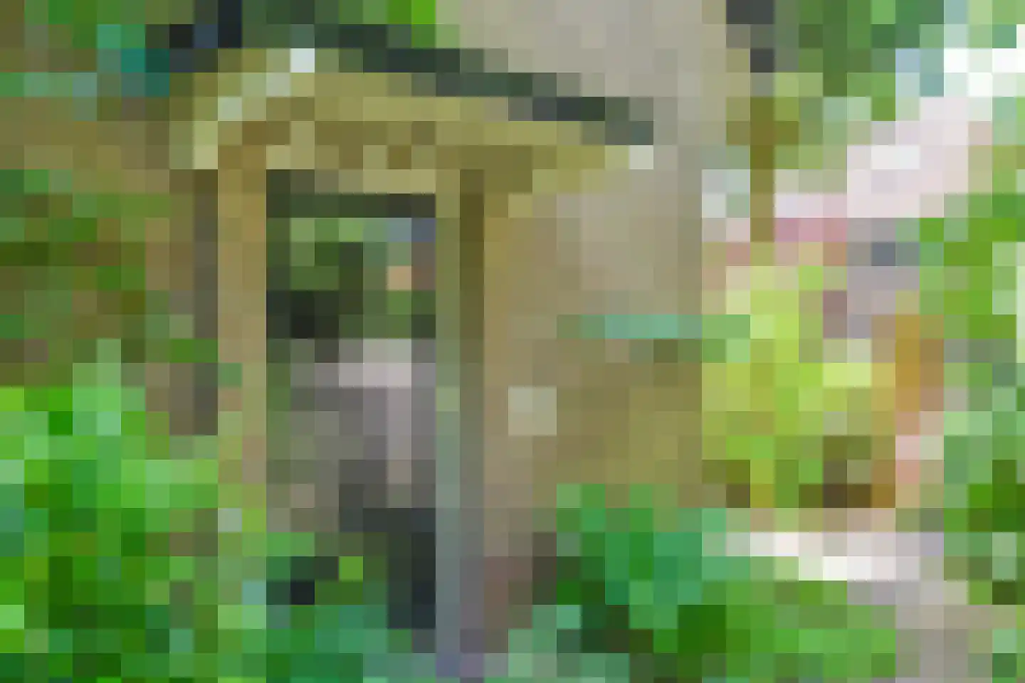 't Paadje 3 Laren thumbnail 33