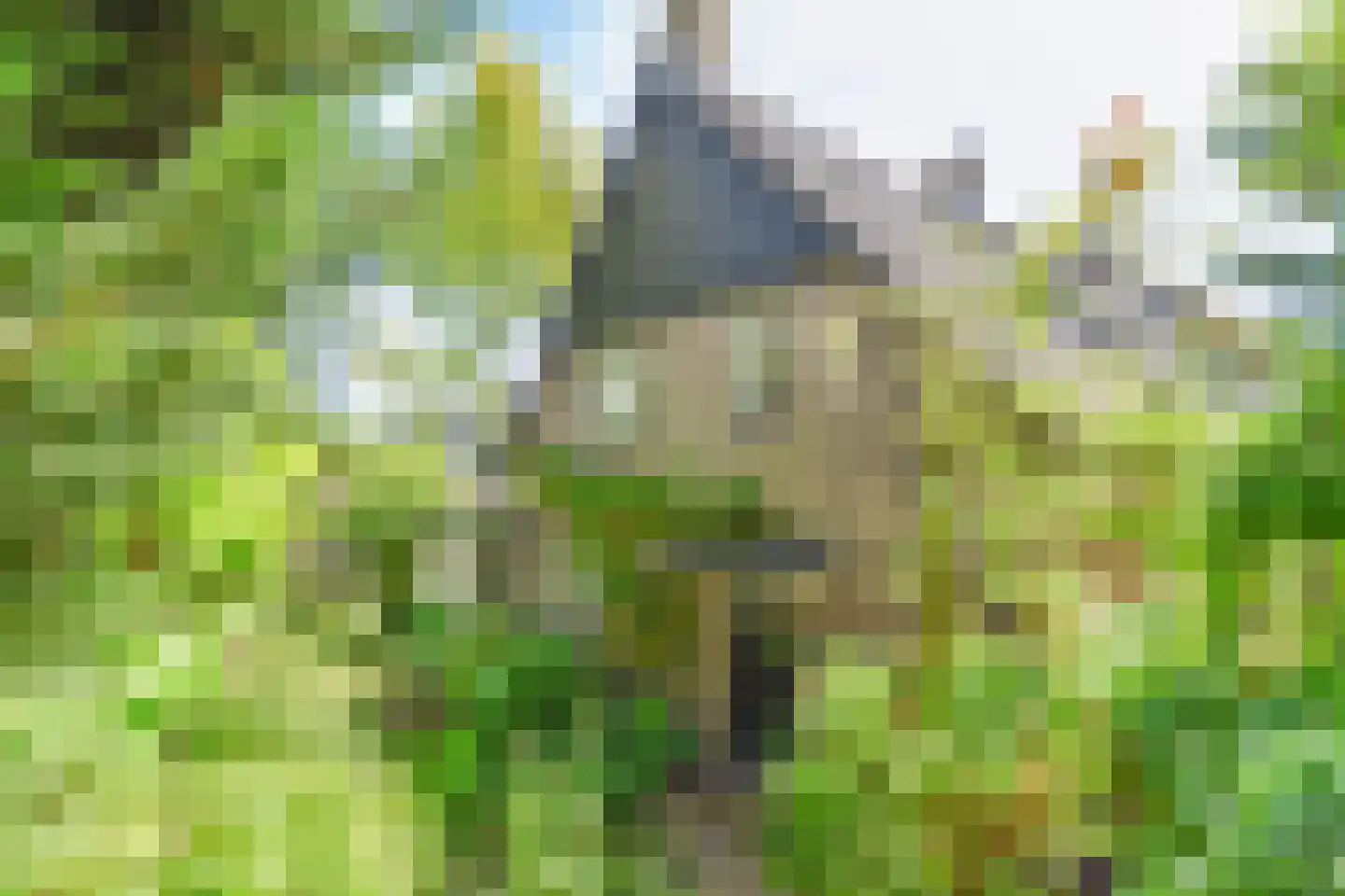 't Paadje 3 Laren thumbnail 34