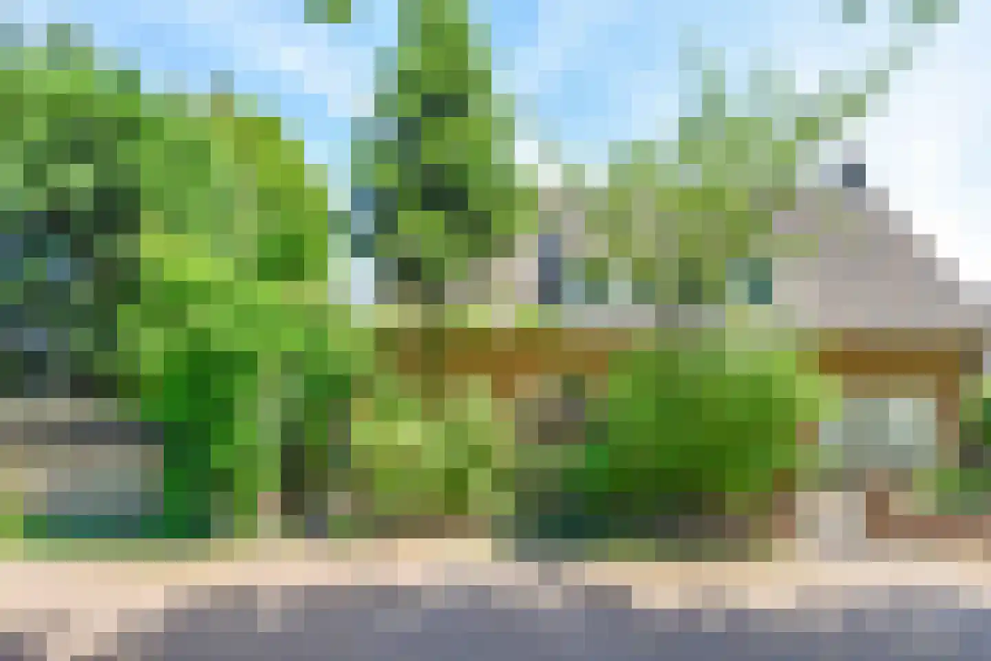 't Paadje 3 Laren thumbnail 35