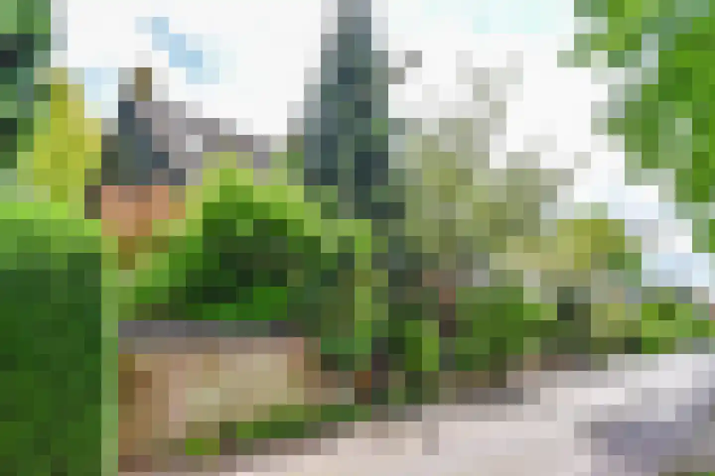 't Paadje 3 Laren thumbnail 36