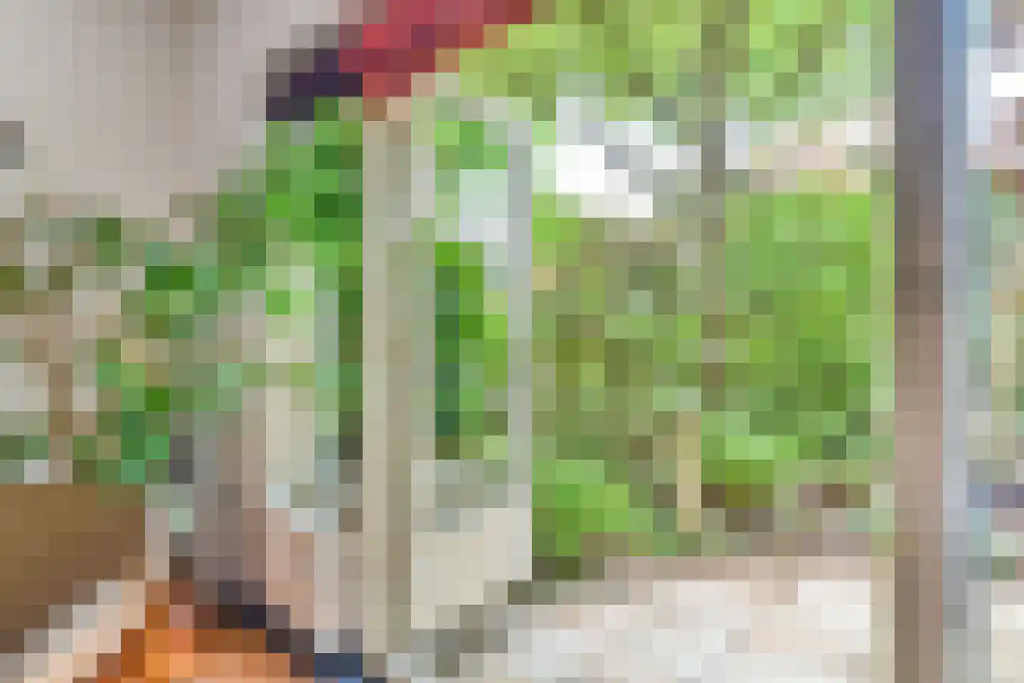 't Paadje 3 Laren thumbnail 5