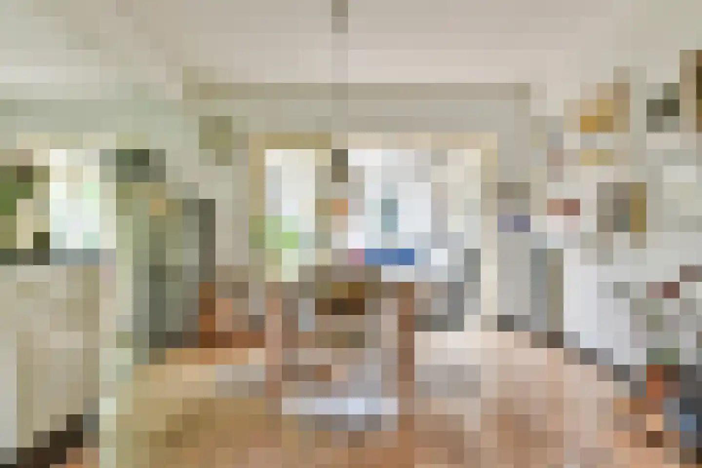 't Paadje 3 Laren thumbnail 6