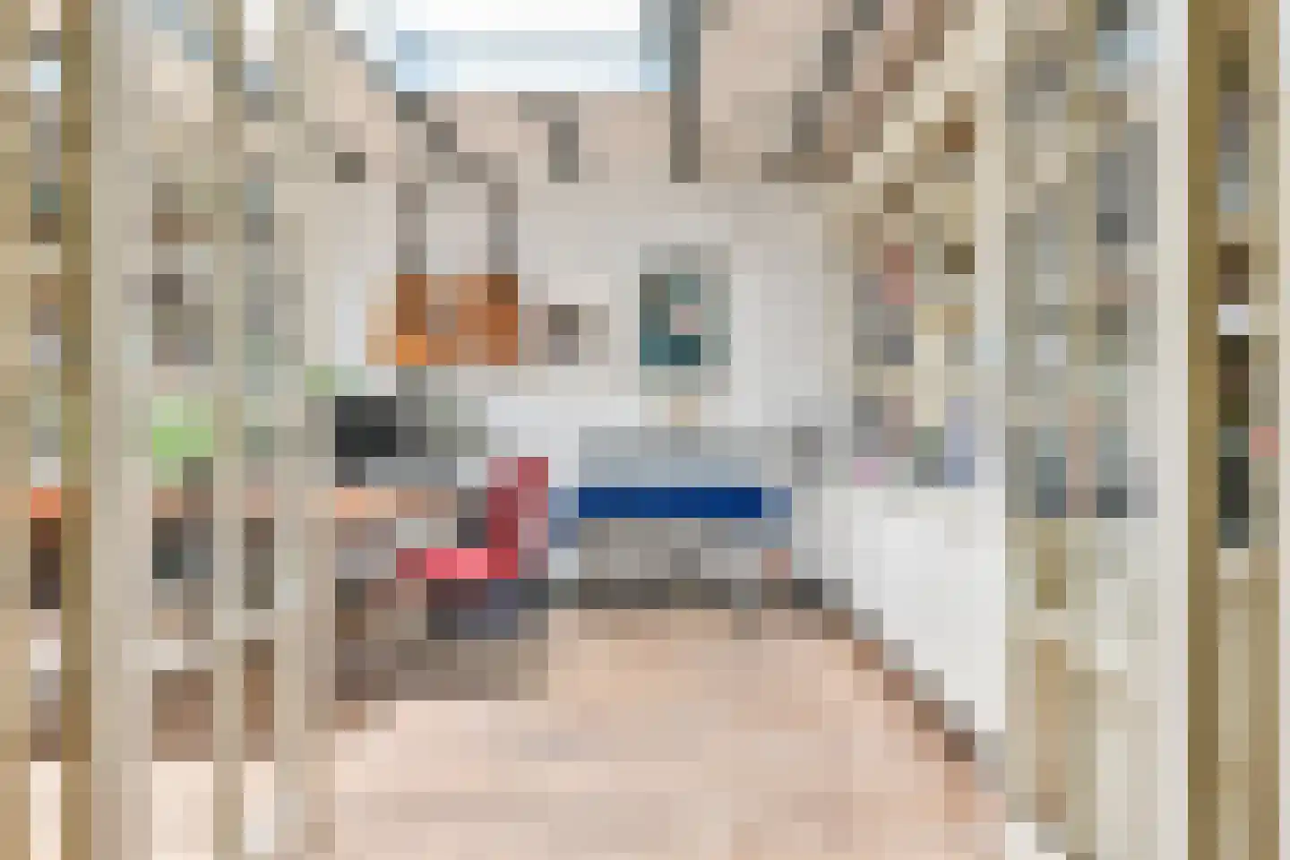 't Paadje 3 Laren thumbnail 9