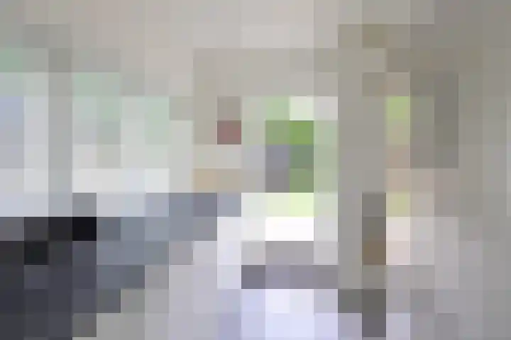 't Paadje 6 a Laren thumbnail 11