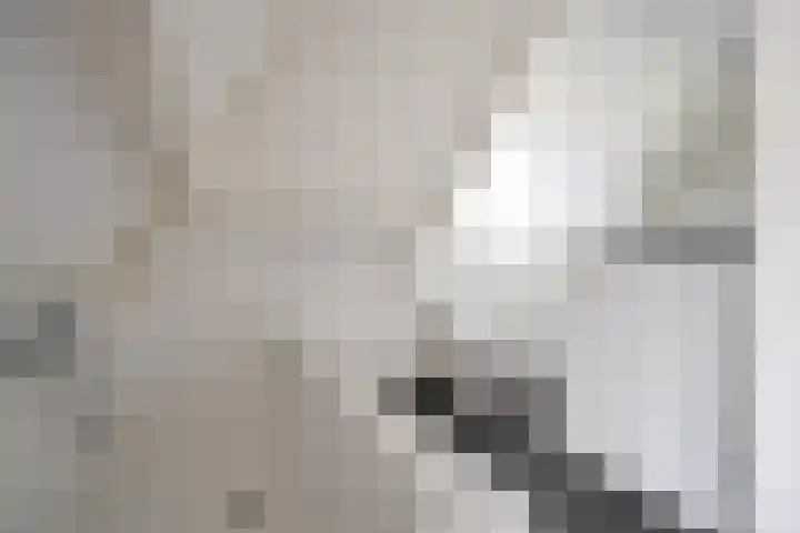 't Paadje 6 a Laren thumbnail 17