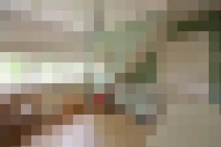 't Paadje 6 a Laren thumbnail 19