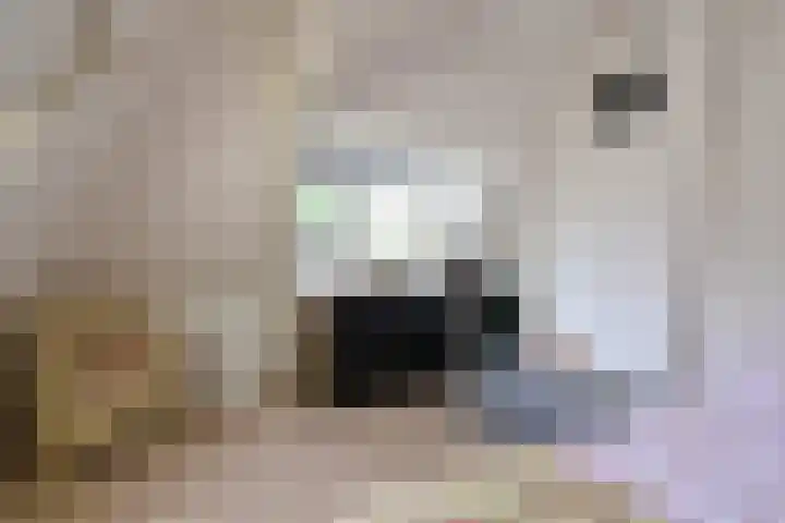 't Paadje 6 a Laren thumbnail 21