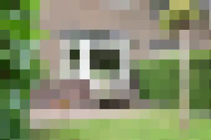 't Paadje 6 a Laren thumbnail 23