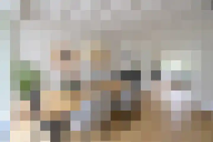 't Paadje 6 a Laren thumbnail 4