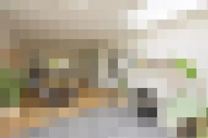 't Paadje 6 a Laren thumbnail 6