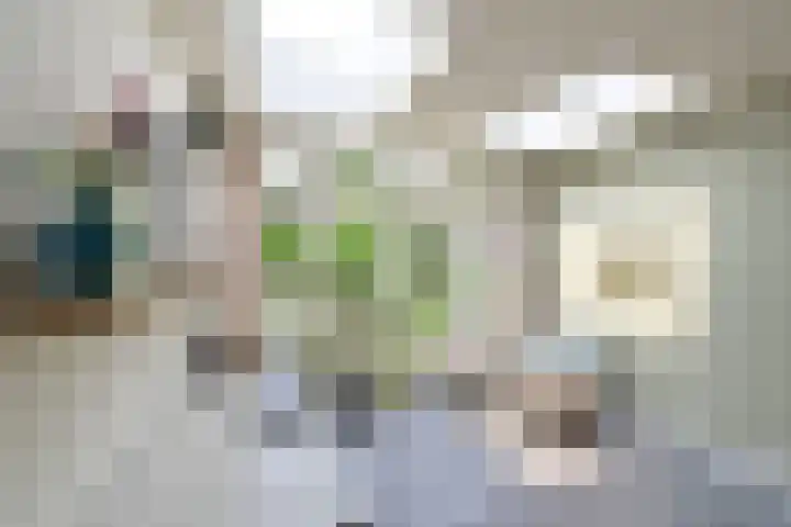 't Paadje 6 a Laren thumbnail 8