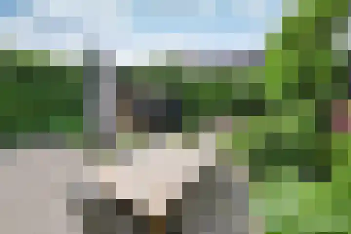 't Paadje 6 a Laren thumbnail 9