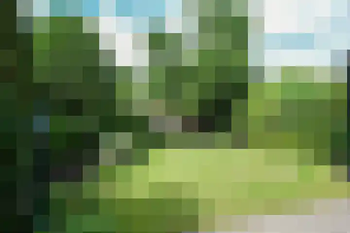 't Paadje 8 a Laren thumbnail 18