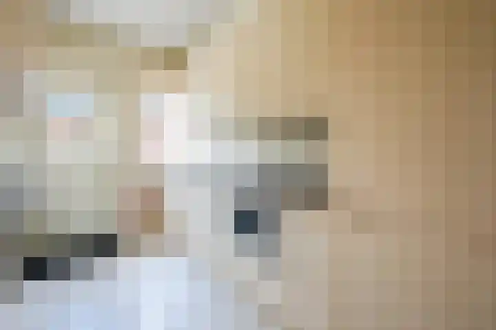 't Paadje 8 a Laren thumbnail 6