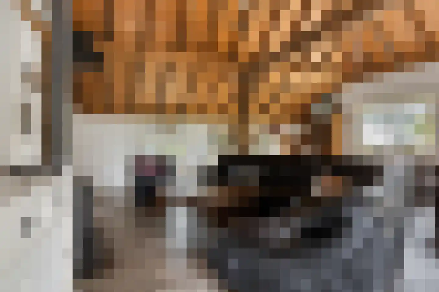 't Pad 13 Niebert thumbnail 12