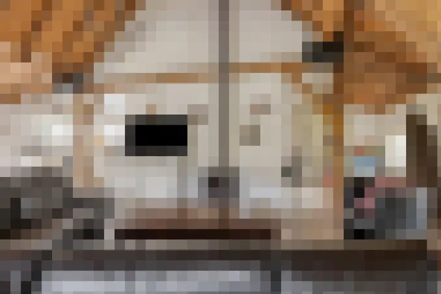 't Pad 13 Niebert thumbnail 15