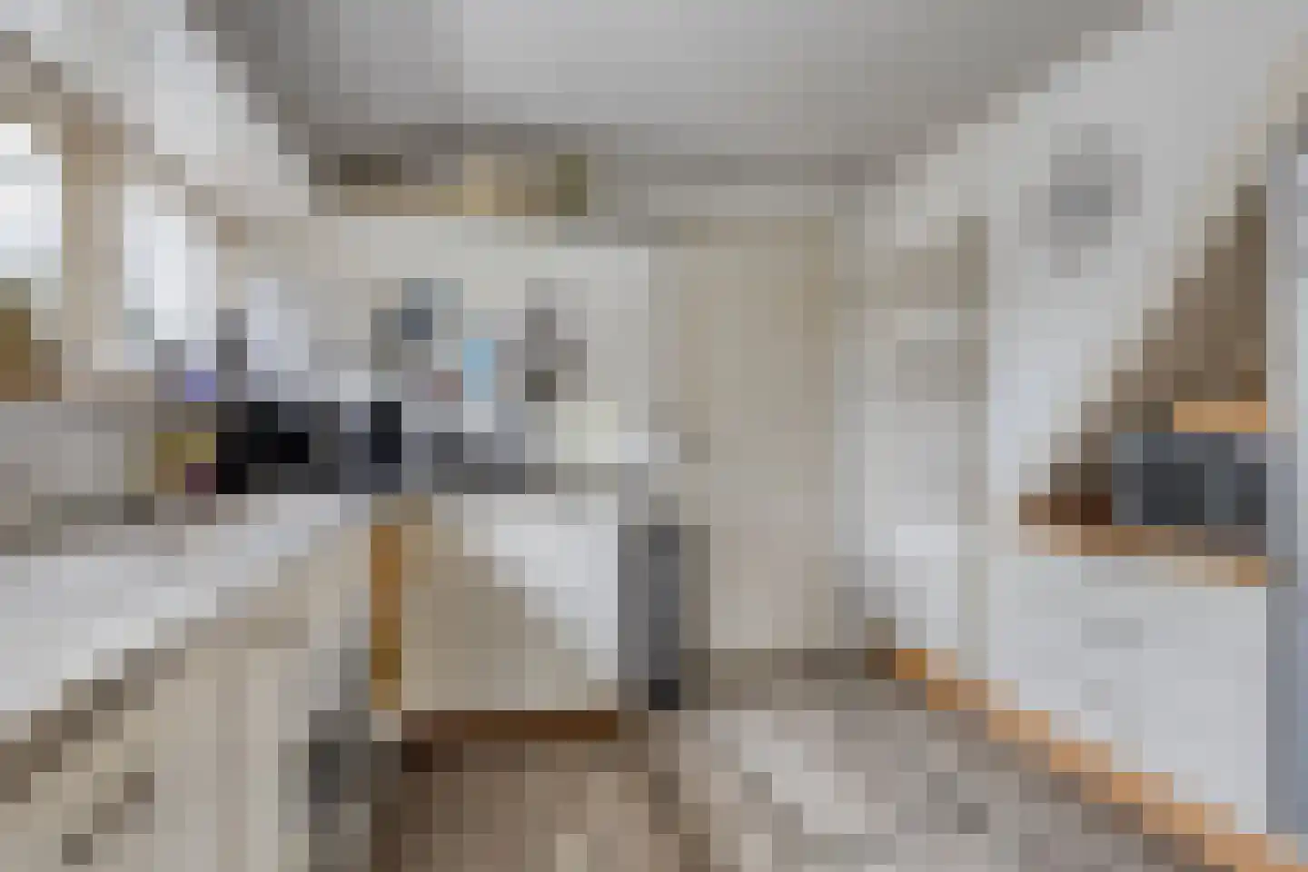 't Pad 13 Niebert thumbnail 21