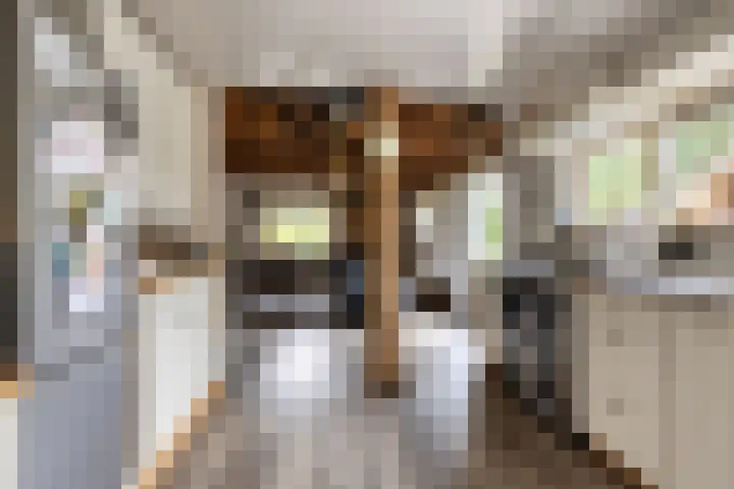 't Pad 13 Niebert thumbnail 23