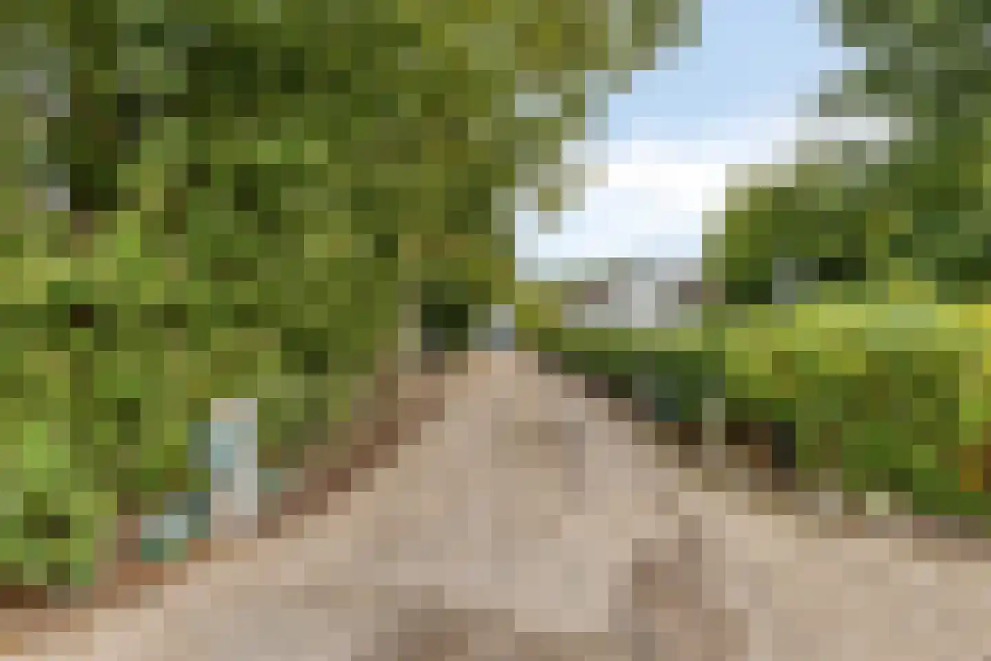 't Pad 13 Niebert thumbnail 4
