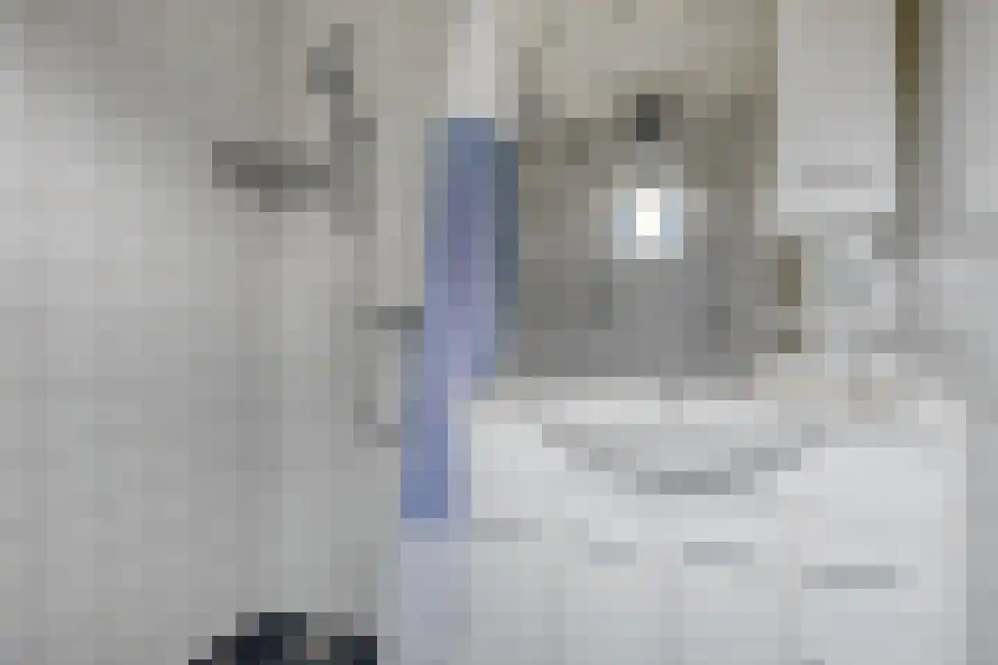 't Pad 13 Niebert thumbnail 47
