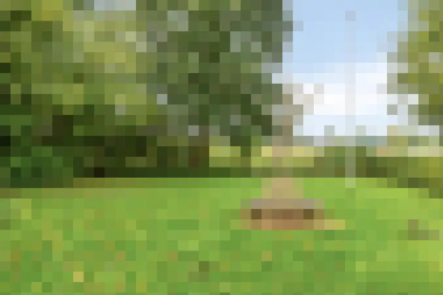 't Pad 13 Niebert thumbnail 5