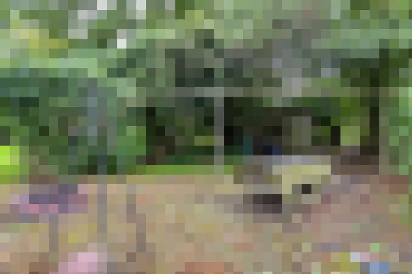 't Pad 13 Niebert thumbnail 56