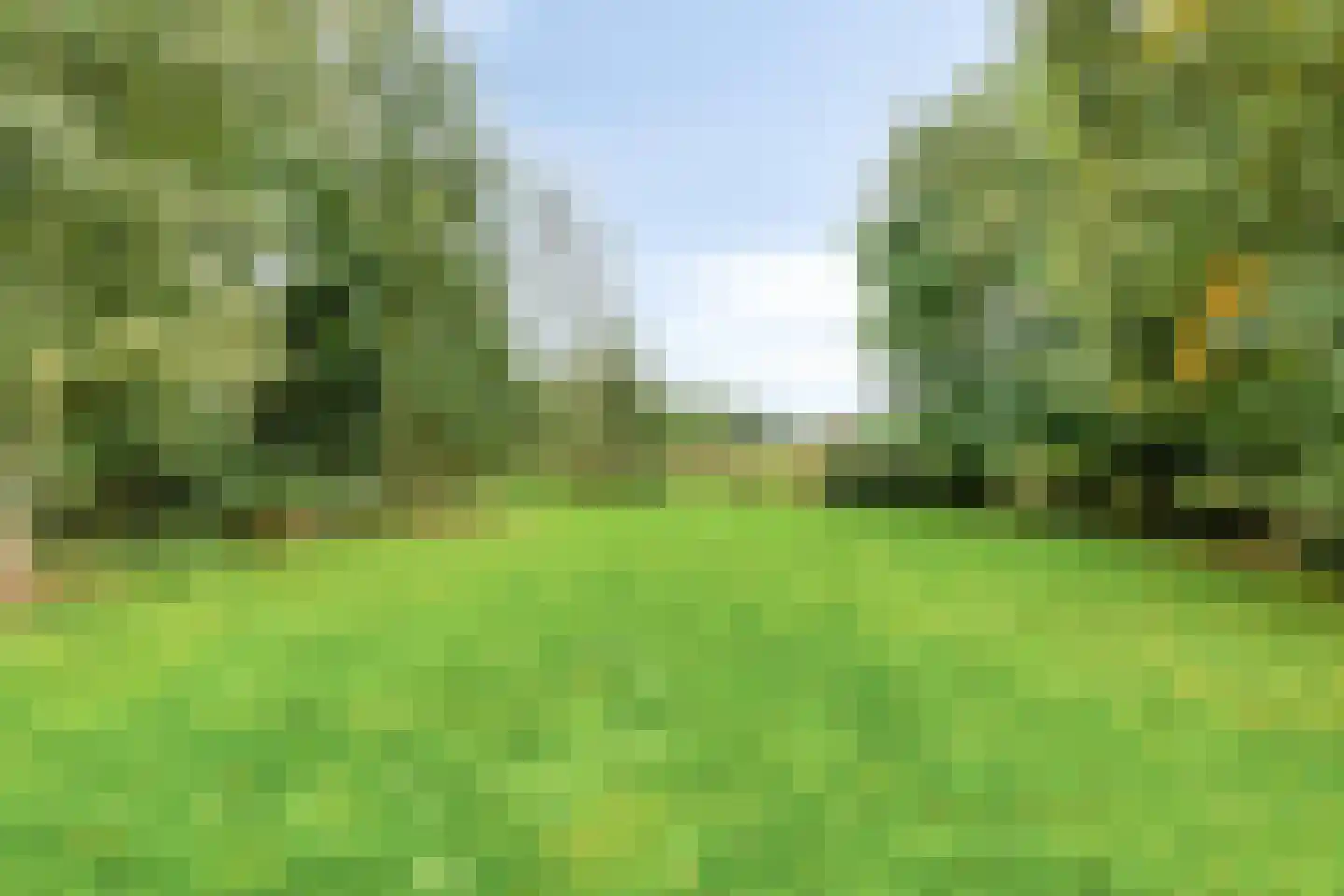 't Pad 13 Niebert thumbnail 59