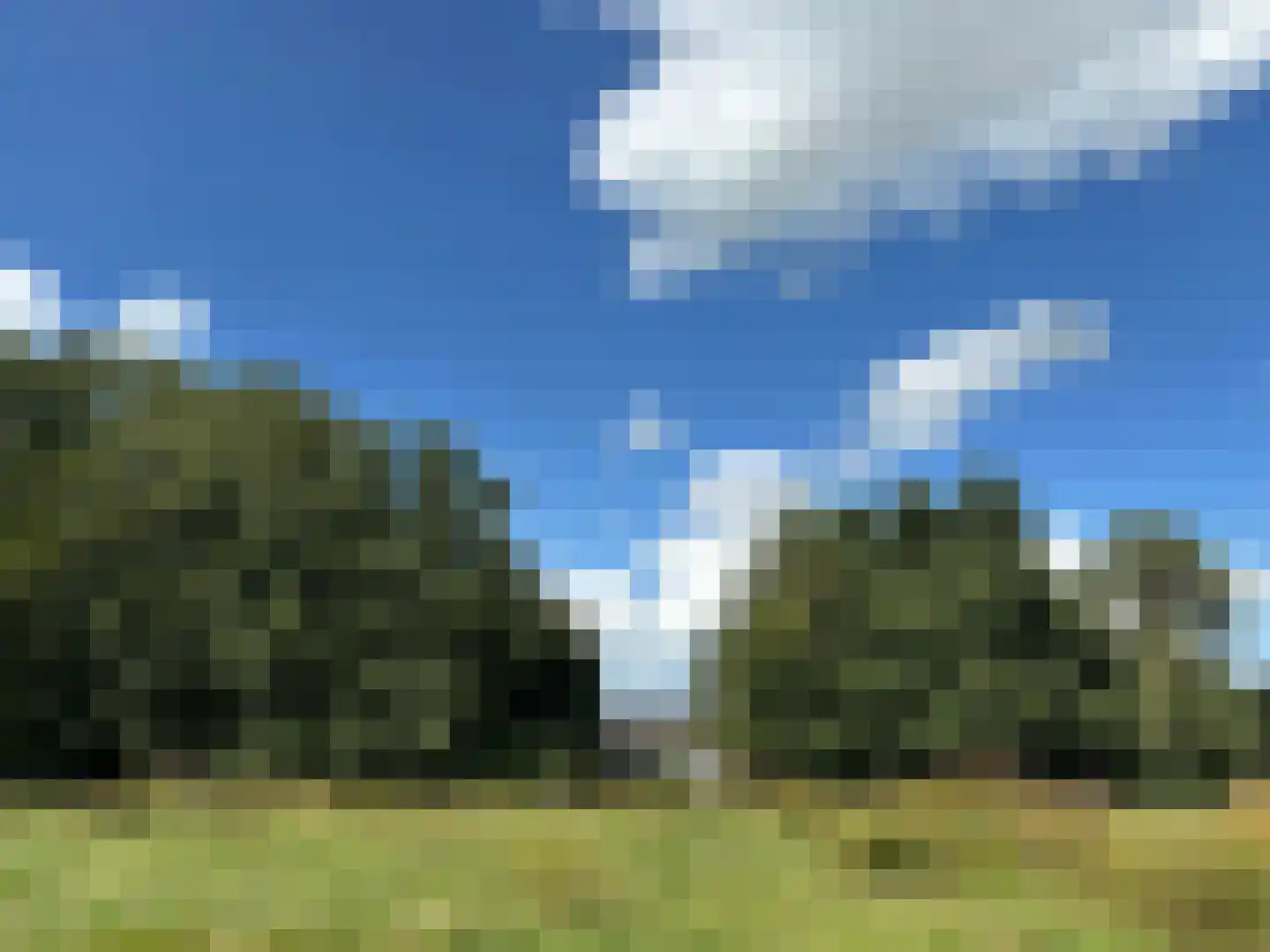 't Pad 13 Niebert thumbnail 65