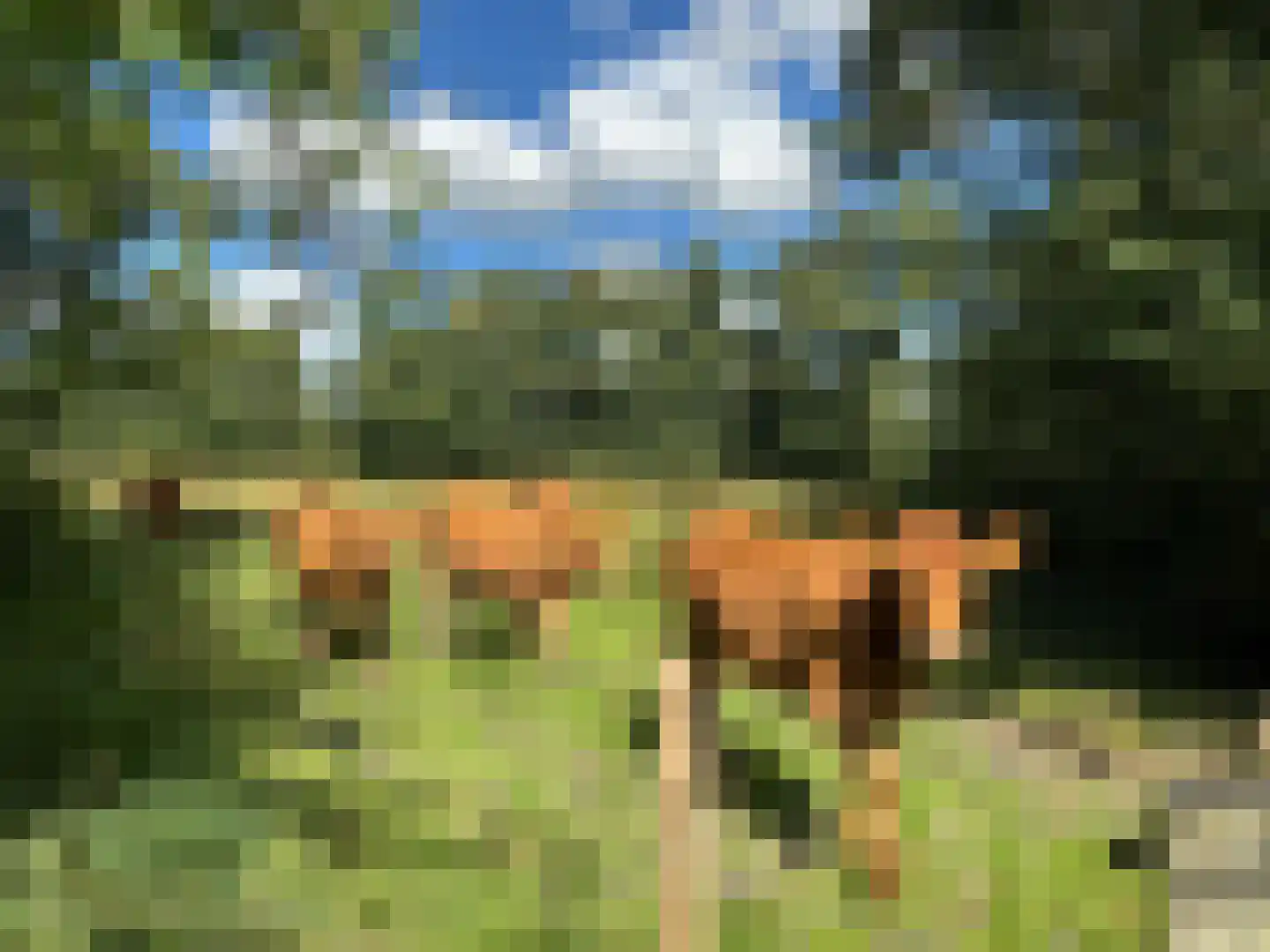 't Pad 13 Niebert thumbnail 66