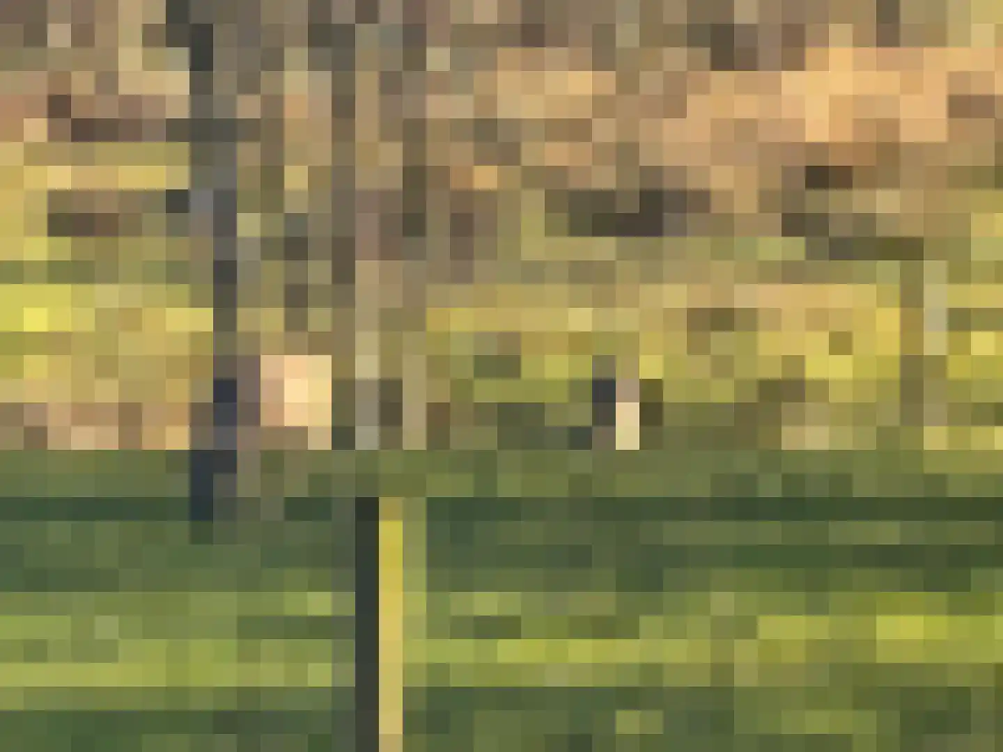 't Pad 13 Niebert thumbnail 69